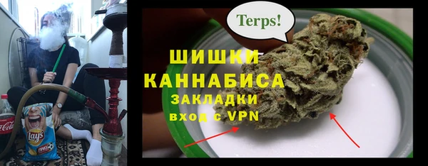 мдпв Волосово