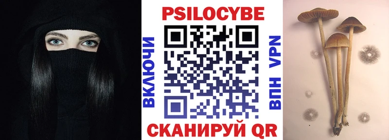 купить  сайты  Горбатов  Галлюциногенные грибы Magic Shrooms 